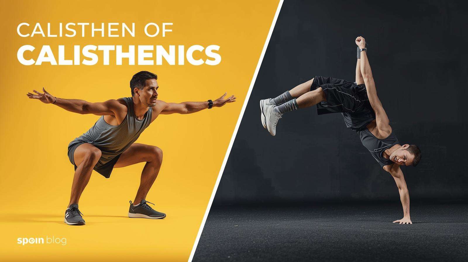 Calisthenics Workout Plan form Beginner to Advanced